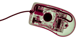 An xray image of a computer mouse
